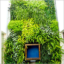 Vertical Garden On Courtyard