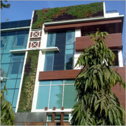 Elevation Vertical Gardening