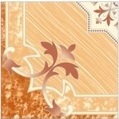 Ceramic 400 X 400 Glossy Series Floor Tiles