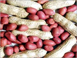 कच्चे मूंगफली