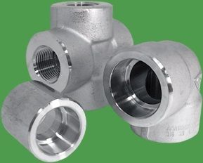 Stainless Steel 309 Forged Fittings