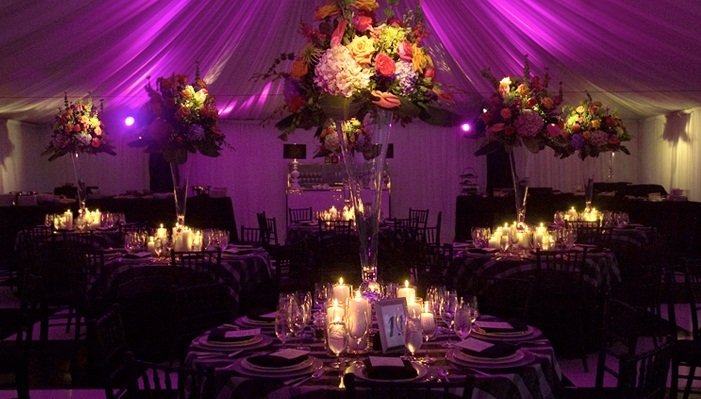 Wedding Management Services - Customizable Design, Full-service Planning | Stress-free Event, Budget Management, Floral Design, Vendor Coordination, Venue Decor