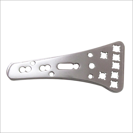 Locking Distal Volar Plate
