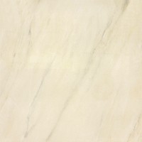 High-Glose PT Series