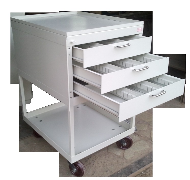 Steel Customized Trolley