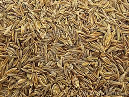 Cumin Seeds