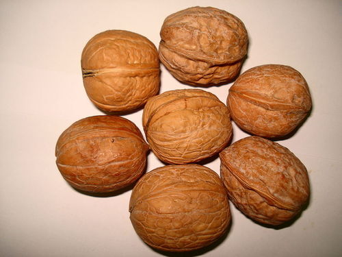 Akhrot - Unchanged Freshness, Mouthwatering Taste | Finest Quality Assortment of Akhrot
