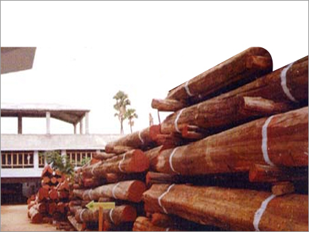 आयातित लकड़ी के तने