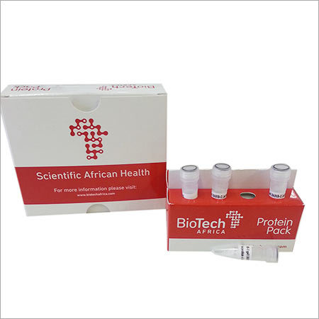 HIV-1 P24
