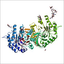 अल्फा गैलेक्टोसिडेज