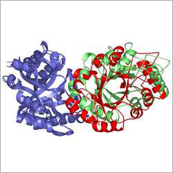 जाइलनसे एंजाइम