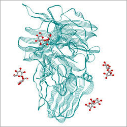 इनवर्टेज एंजाइम