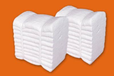 Ceramic Fiber Insulation Modules