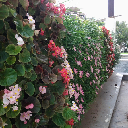 Flower Vertical Gardening