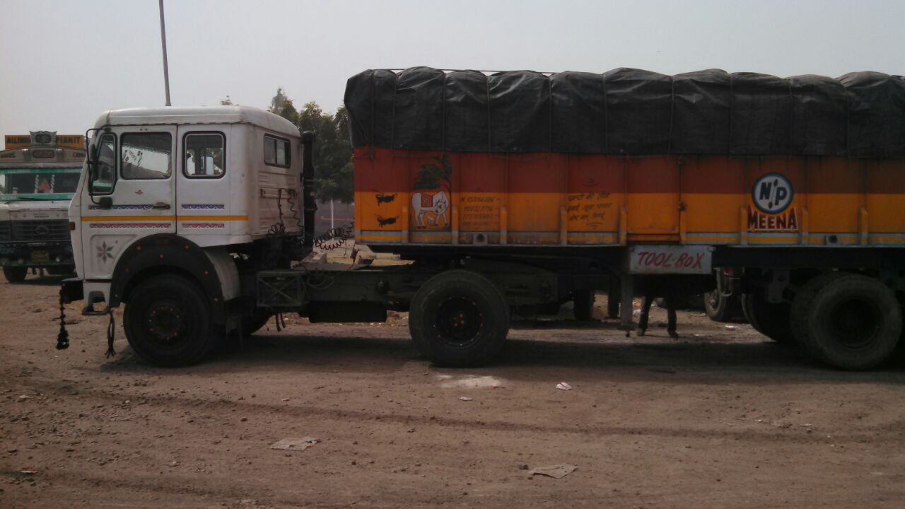 Non Calcined Petroleum Coke