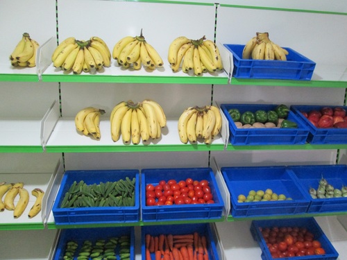 रीपेनिंग चैंबर और सब्ज़ी कोल्ड स्टोर पैनल