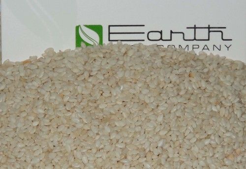 White Hulled Sesame Seeds