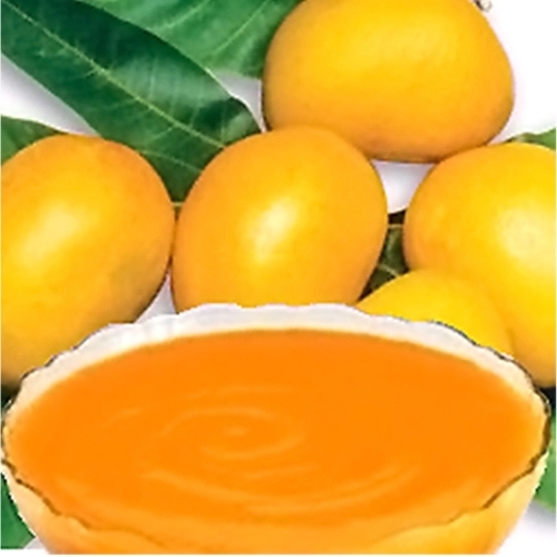 ताजा अलफांसो मैंगो पल्प