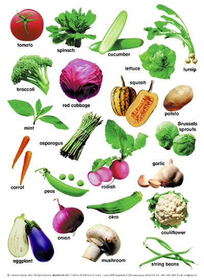 ताज़ी सब्जियाँ