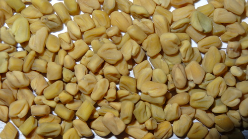 Brown Fenugreek Seeds