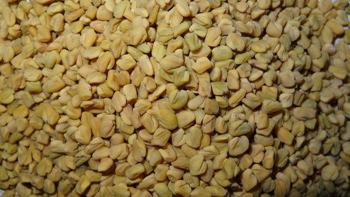 Unsortex Fenugreek Seeds - Raw Powder Form, Brown Color | High Nutritional Value, ISO Certified Quality