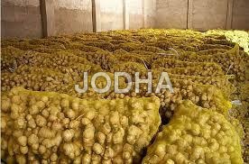 जैविक ताजा अदरक