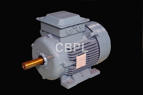 Standard AC Electric Motor