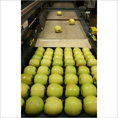 कस्टम क्लियरिंग एजेंट