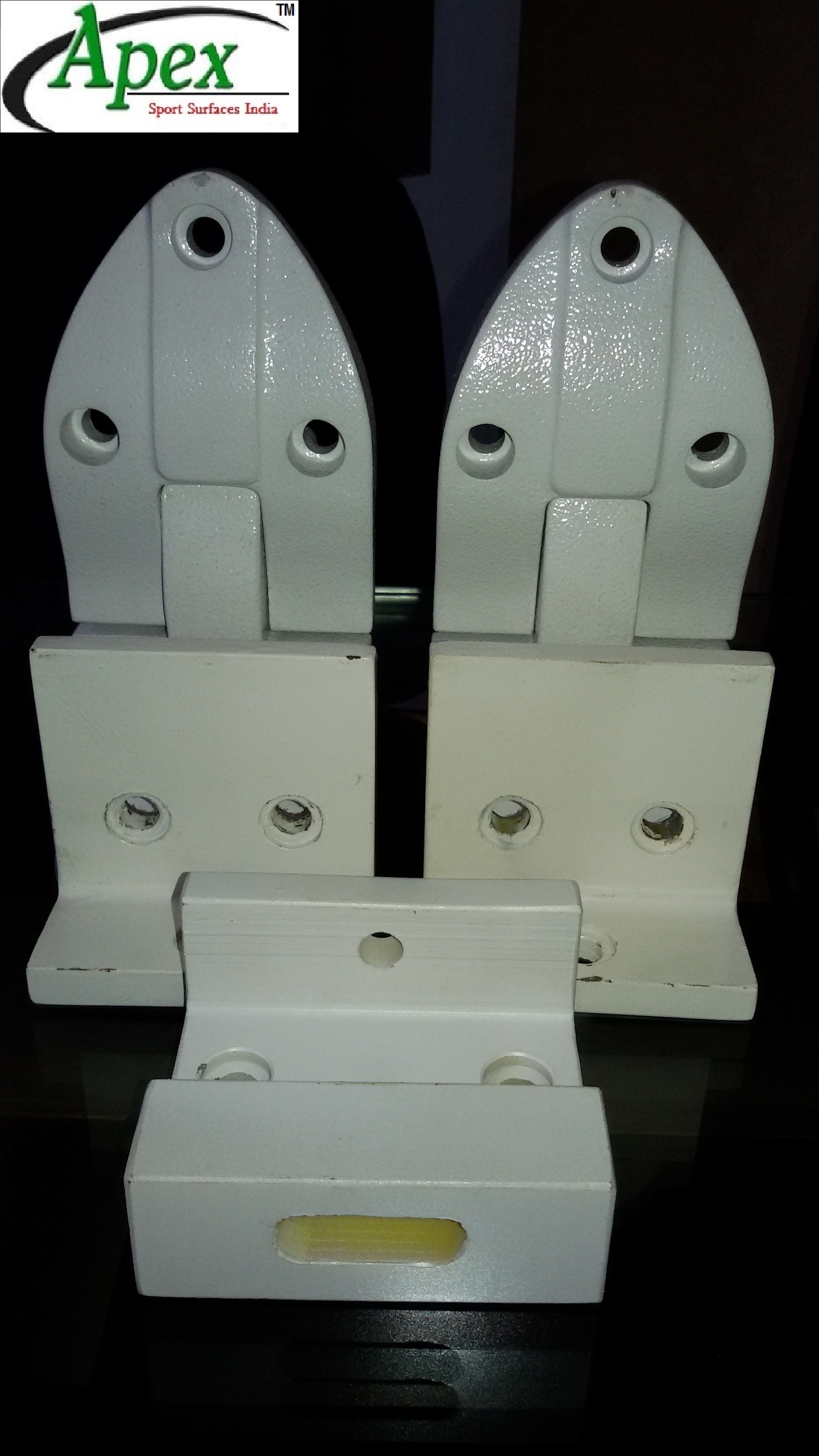 Squash Court Glass Fitting Hinges