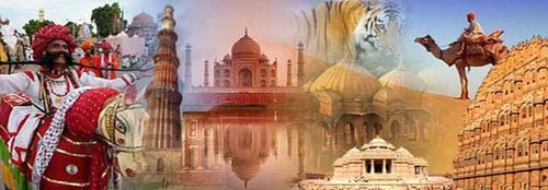 घरेलू टूर सेवाएँ