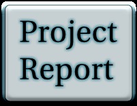 Project Report Services