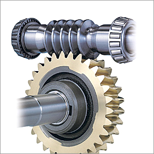 Worm Wheel Gear