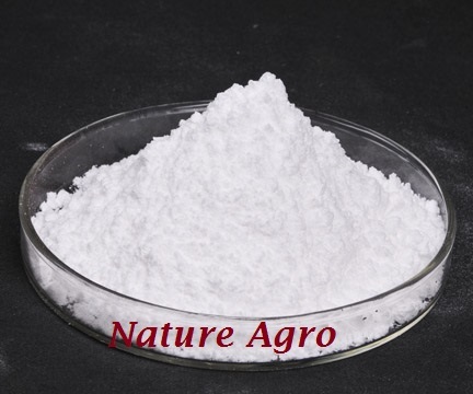 White Gibberellic Acid