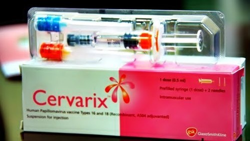 सेराविक्स मानव पेपिलोमावायरस