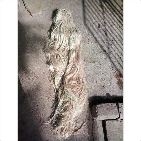 Banana Fiber