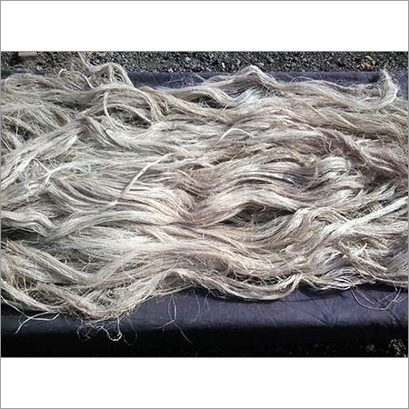 Banana Silky Fibre