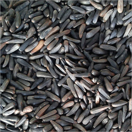  नाइजर सीड्स