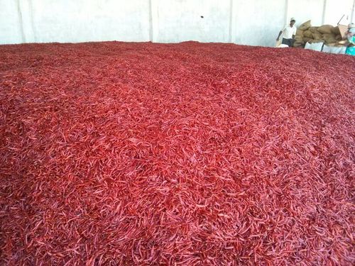 Red Teja Chili With Stem