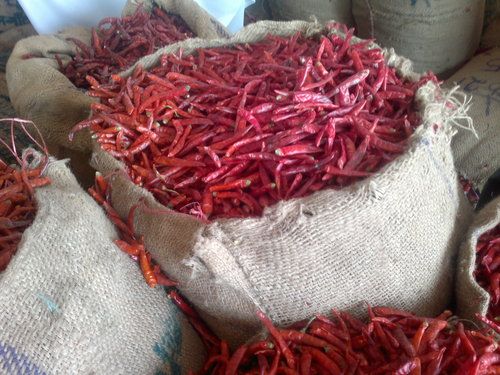 Red Guntur Chilli