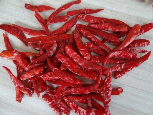 Red S17 Chilli For Mexico