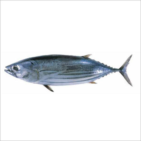 Sea Food Testing