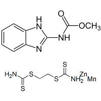 कार्बेन्डाजिम 12% + मैंकोजेब 63% WP