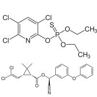 क्लोरपाइरीफॉस 50%+साइपरमेथ्रिन 5% ईसी