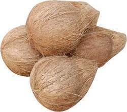 Semi Husked Fresh Coconut