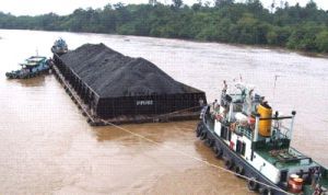 इंडोनेशियाई कोयला