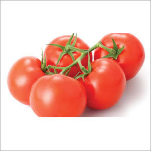 Organic Tomato