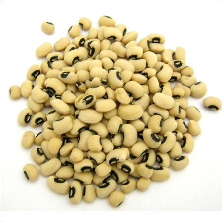 काली आंखों वाला सेम