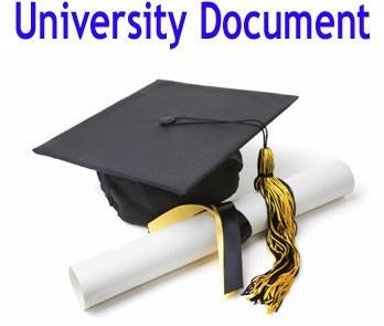 University Document Courier Services