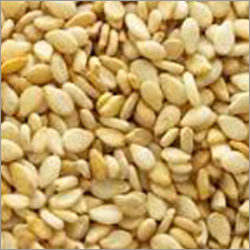 Natural Sesame Seed