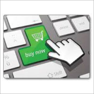 Ecommerce Software Designing